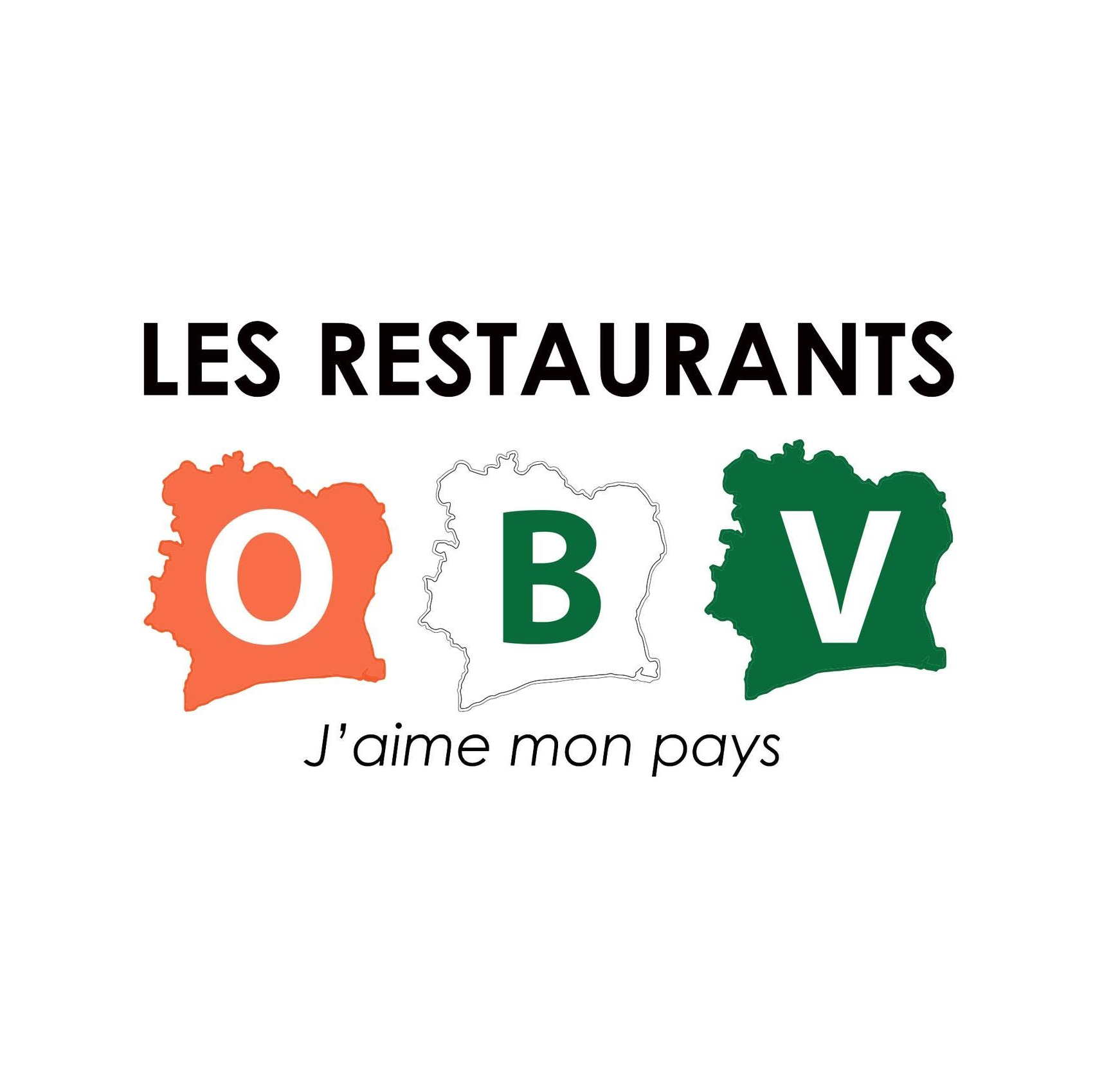 Logo OBV
